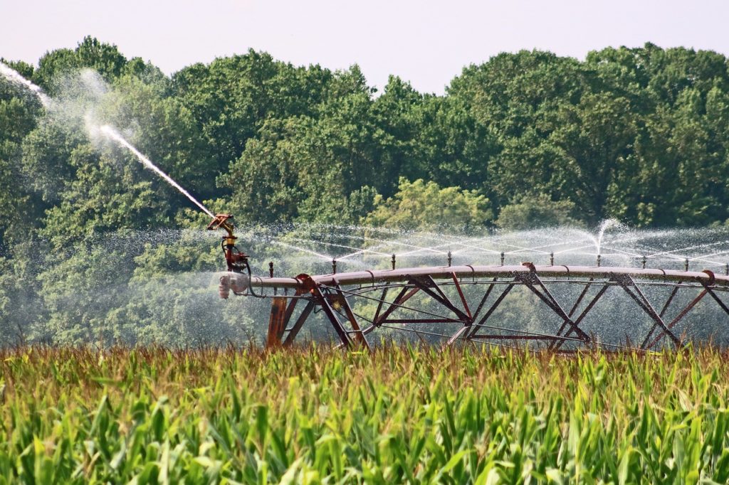 farm, agriculture, irrigation