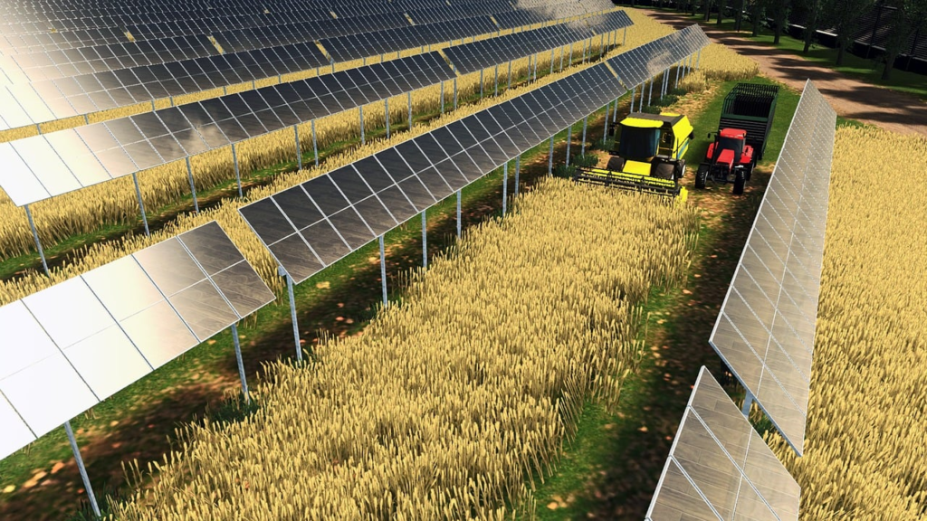 agrivoltaic, solar power, green