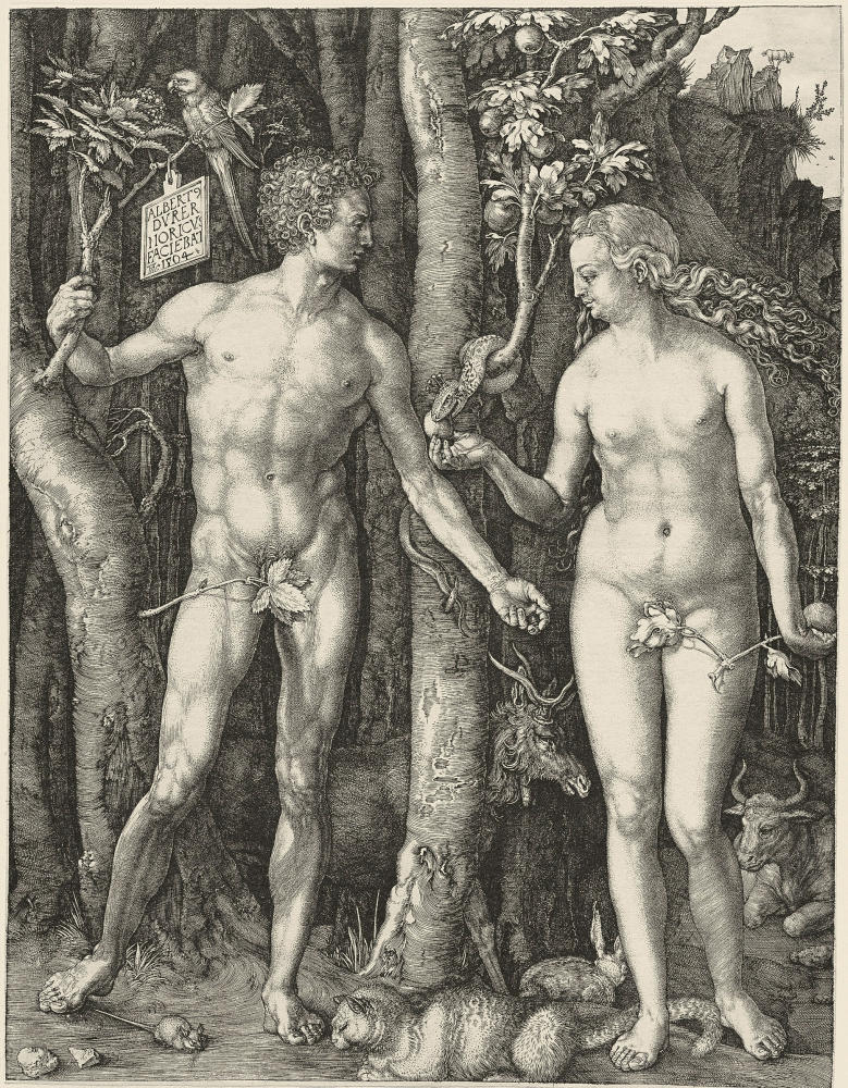 Duerer Adam Eve